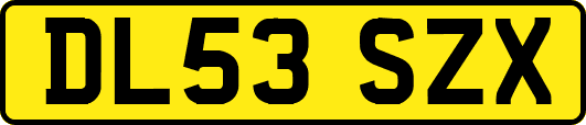 DL53SZX