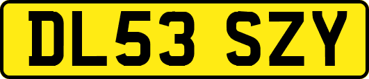 DL53SZY