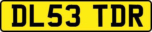 DL53TDR
