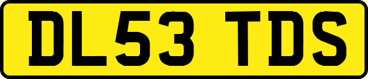 DL53TDS