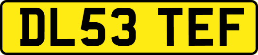 DL53TEF