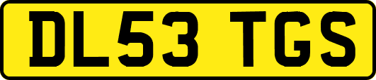 DL53TGS