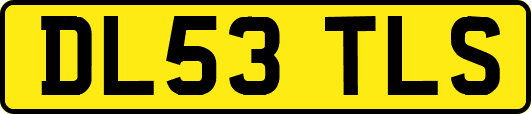 DL53TLS