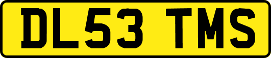 DL53TMS