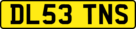 DL53TNS