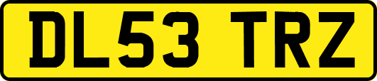 DL53TRZ