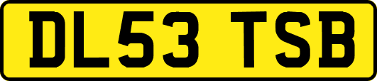 DL53TSB