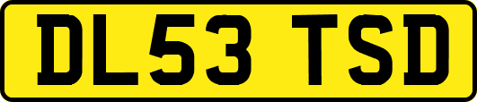 DL53TSD