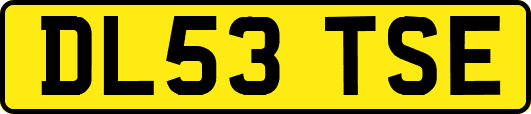 DL53TSE