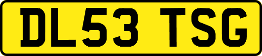 DL53TSG