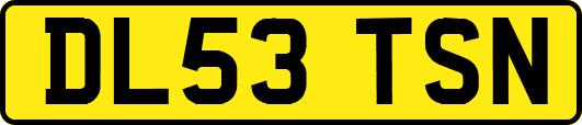 DL53TSN