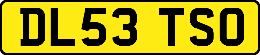 DL53TSO