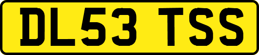 DL53TSS