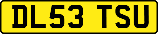 DL53TSU