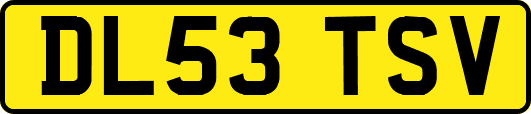 DL53TSV