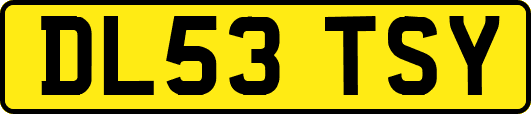 DL53TSY