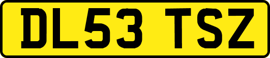 DL53TSZ