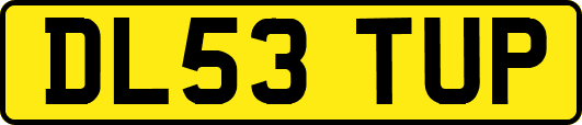 DL53TUP