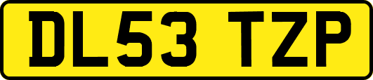 DL53TZP