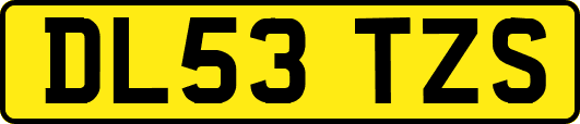 DL53TZS