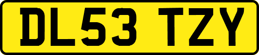 DL53TZY