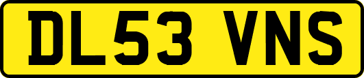 DL53VNS