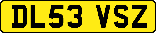 DL53VSZ