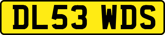 DL53WDS