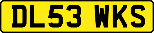 DL53WKS