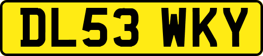 DL53WKY