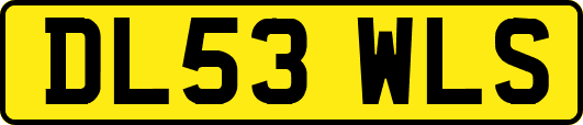 DL53WLS