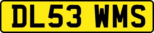 DL53WMS