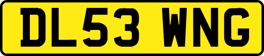 DL53WNG