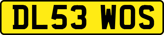 DL53WOS