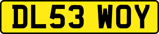 DL53WOY