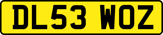 DL53WOZ