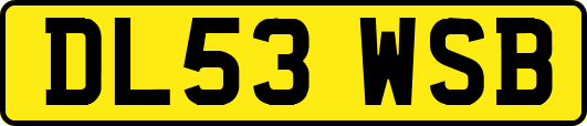 DL53WSB