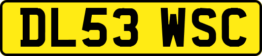DL53WSC