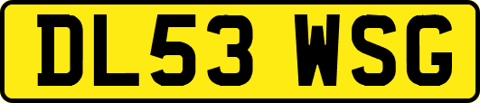 DL53WSG