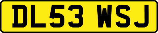 DL53WSJ