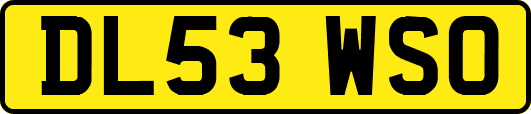 DL53WSO
