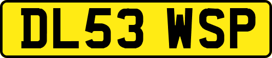 DL53WSP