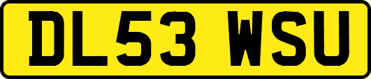 DL53WSU
