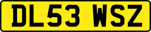 DL53WSZ