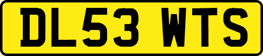 DL53WTS