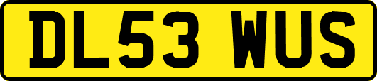DL53WUS
