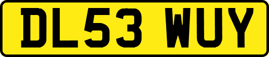 DL53WUY