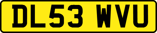 DL53WVU