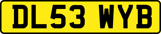 DL53WYB