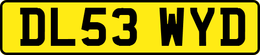 DL53WYD